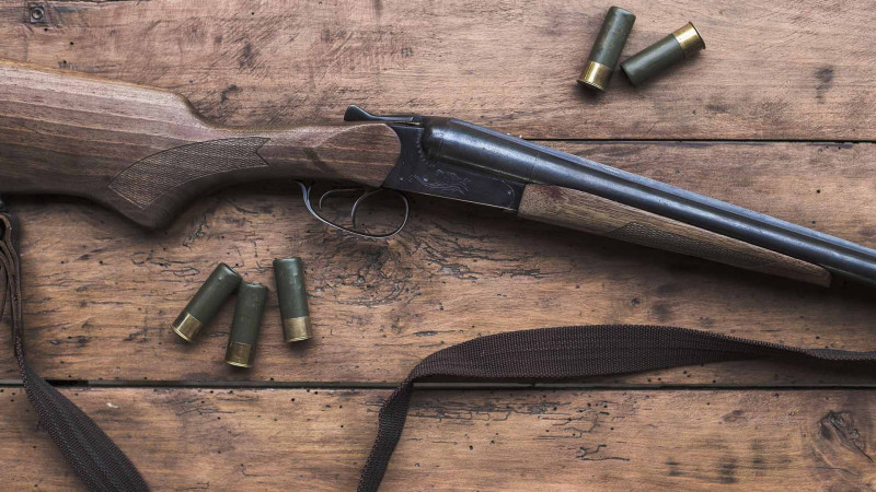 Astara: polis əməkdaşları qanunsuz silahsaxlama faktı aşkar ediblər