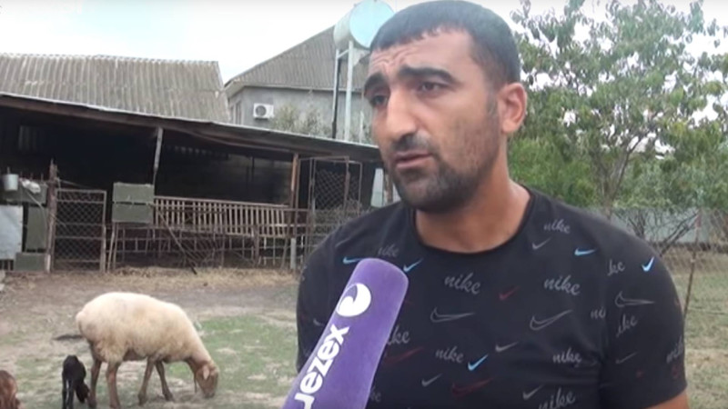 Masallı sakini ona verilən keçilərin Dövlət Məşğulluq Agentliyi tərəfindən ondan geri tələb olunduğunu iddia edir