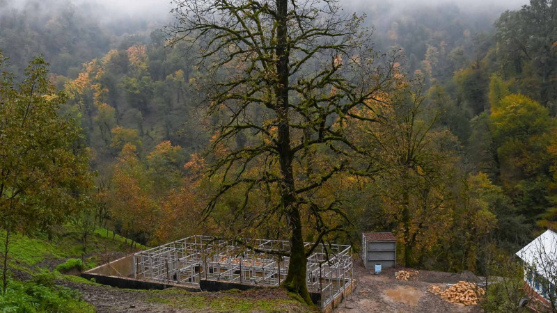 Astara rayonunun ucqar kəndində məktəbin inşasına başlanılıb
