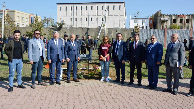 Masallıda ağacəkmə aksiyası keçirilib