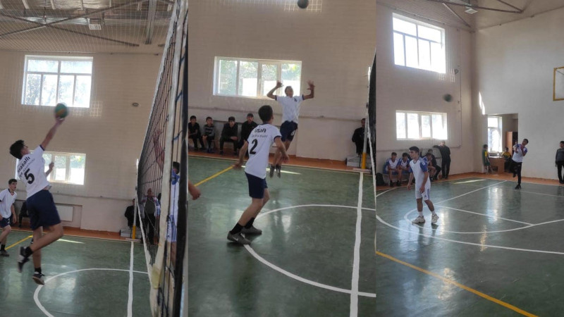 Masallı: “Zəfər kuboku” adlı voleybol yarışmasının qalibləri müəyyən olub