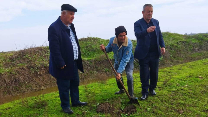 Masallıda qaziyə bələdiyyə torpağı ayrılıb