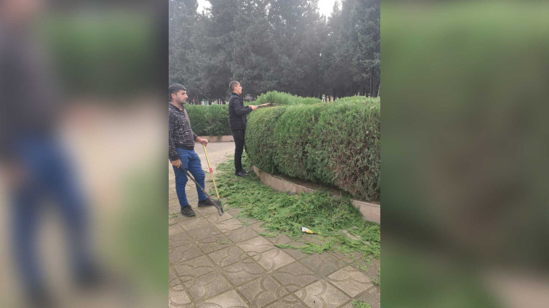 Masallı: Xətai parkında abadlıq işləri aparılır