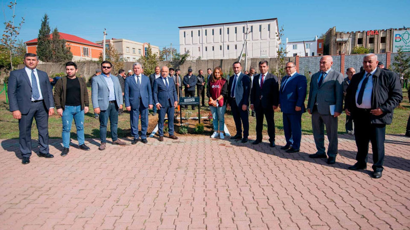 Masallıda şəhidlərin xatirəsinə bağ salınıb