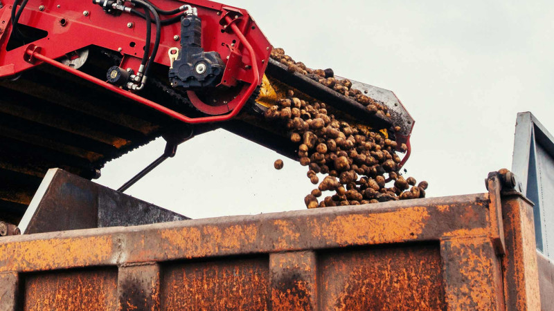 Cəlilabad rayon sakini 1 milyon manata yaxın dələduzluq edib