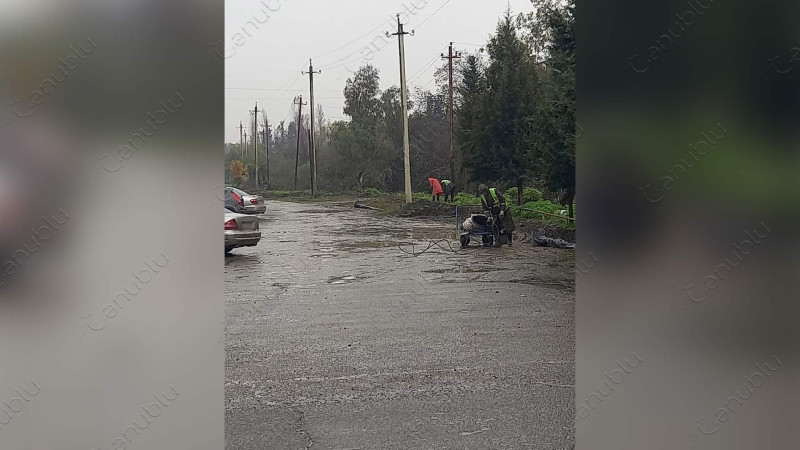 Lənkəranda elektrik xətləri təmir olunur