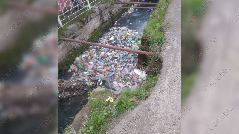 Səttərxan küçəsinin üstü açıq kollektoru antisanitariya yuvasına çevrilib