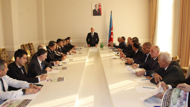 Cəlilabadda yaşıllıqların qanunsuz kəsilməsi ilə bağlı müşavirə keçirilib