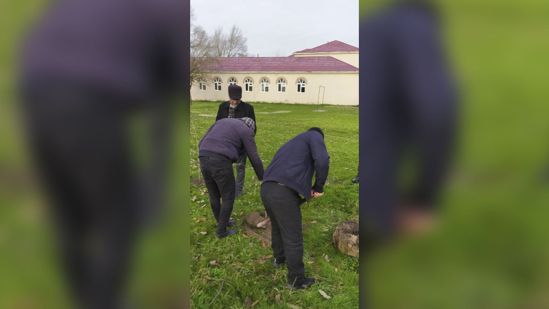 Masallı rayonunun Təzəkənd kəndində tut tingləri əkilib