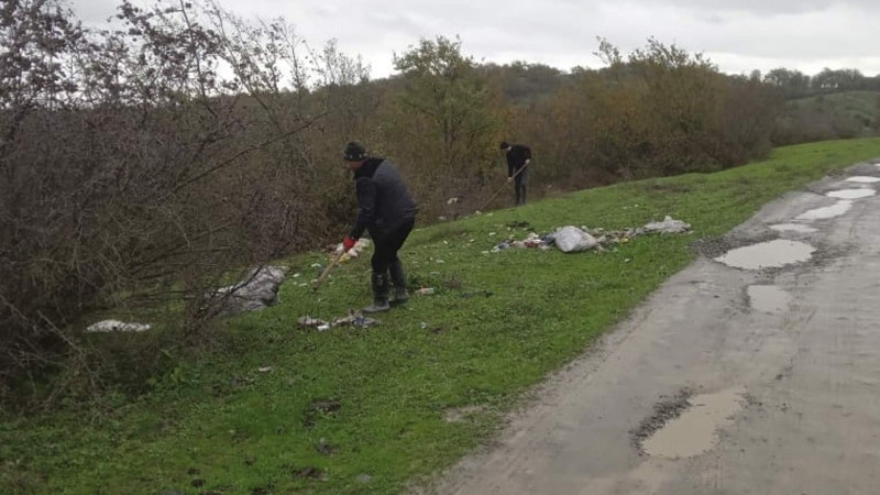 Masallıda ümumrayon iməciliyi təşkil olunub
