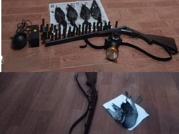 Masallıda iki şəxs qanunsuz ovla məşğul olub