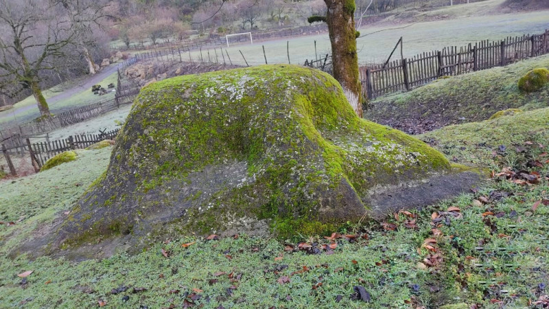 Masallı: Vətən müharibəsinin qaziləri olan qardaşların həyətinə qaz xətləri çəkilib
