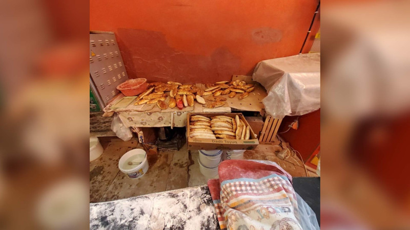 Lənkəranda dönərxanada nöqsanlar aşkar edilib