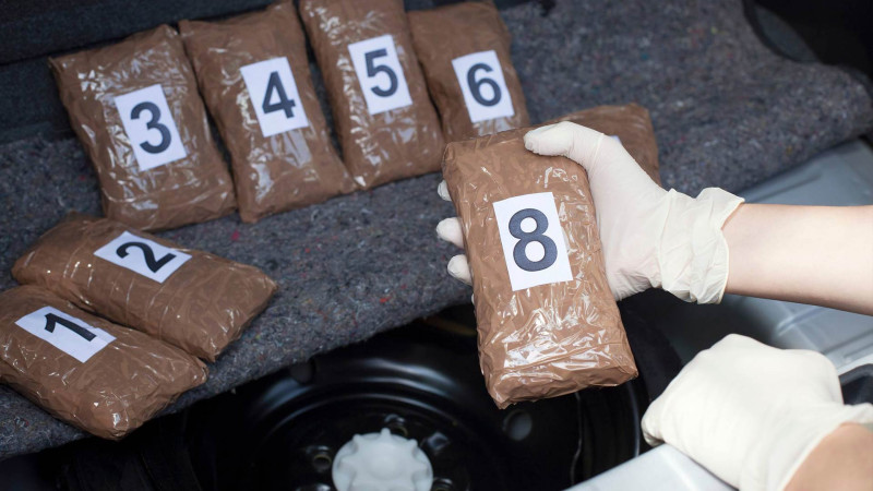 Masallı rayon sakinindən 12 kiloqrama yaxın narkotik aşkar edilib