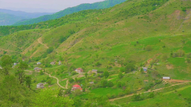 Masallı rayonunun ən hündür zirvəsində salınmış Dəmbəlov kəndi