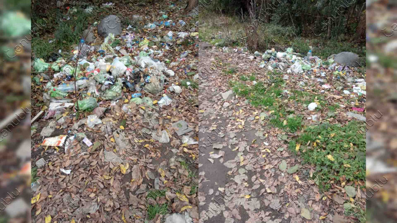 Lənkəranın bitməyən zibil problemi bu dəfə Sahil küçəsinin sakinlərini narahat edir