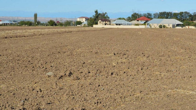 Cəlilabadda pay torpağı üstündə mübahisə düşüb