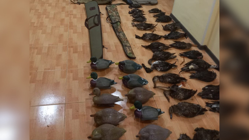 Lənkəranda qanunsuz ovla məşğul olan şəxslər saxlanılıblar