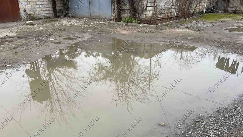 Şəhid Mirxəyal Kərimzadənin adını daşıyan küçə baxımsız vəziyyətdədir