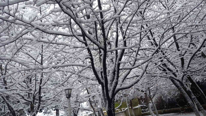 Lənkərana ilk qar yağıb