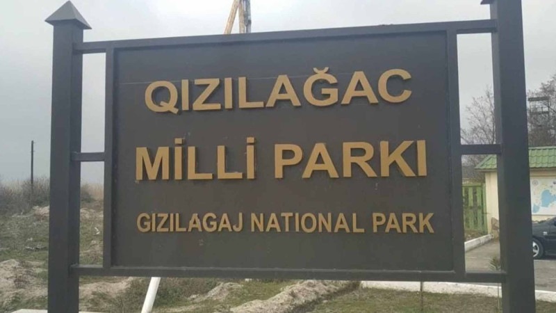 Masallı sakini Qızılağac Milli Parkı ərazisində qanunsuz ov etdiyi üçün saxlanılıb