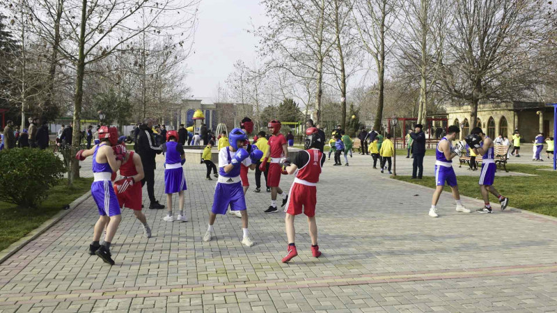 Masallıda “Gənclər həftəsi” çərçivəsində idman festivalı baş tutub