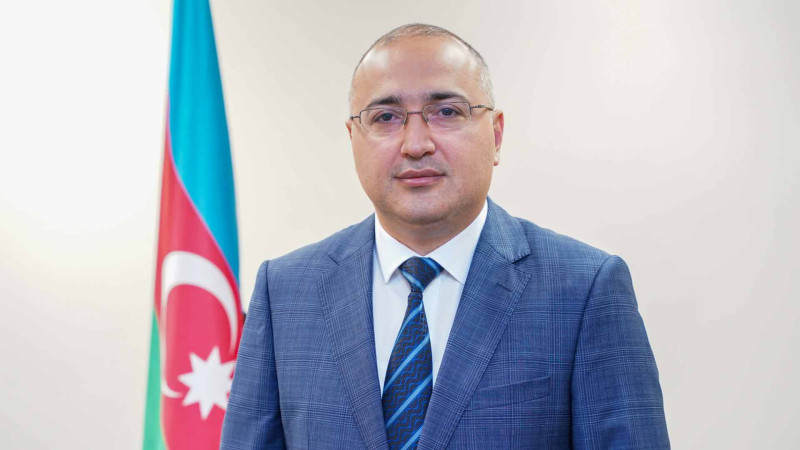 Masallıdan olan Araz Nəsirova TƏBİB-də vəzifə verilib