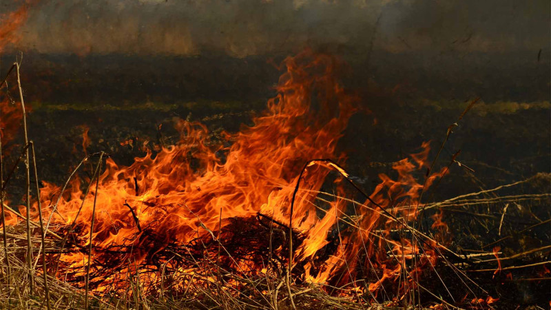 Masallıda fermerin 22 ton ot bağlaması kül olub