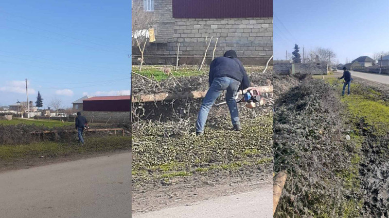 Masallı rayonunda təmizlik işləri görülür