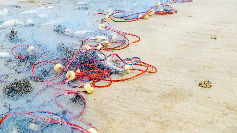 Lənkəran rayon sakini təbiətə min manatdan çox ziyan vurub