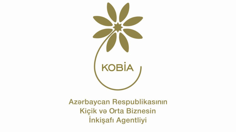 Masallıda gənc sahibkarlara dəstək məqsədilə görüş keçiriləcək