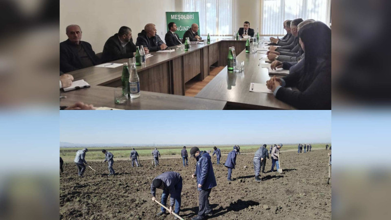 Masallıda təbiətlə bağlı maarifləndirici tədbir baş tutub