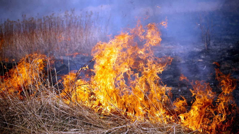 Cəlilabad rayonunun Sarxanlı kəndində yanğın qeydə alınıb