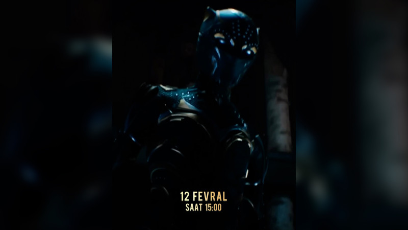 Lənkəranda “Qara Pantera - Əbədi Vakanda” adlı film nümayiş olunacaq