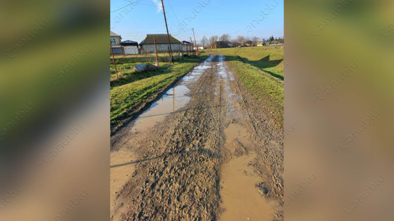 Masallının bu kəndinin sakinləri yol problemi ilə üzləşiblər
