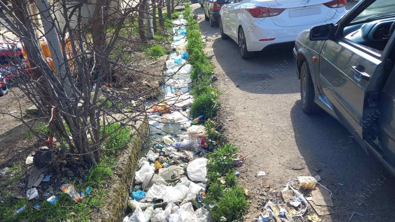 Lənkəranda daha bir antisanitar küçə sakinləri narahat edir