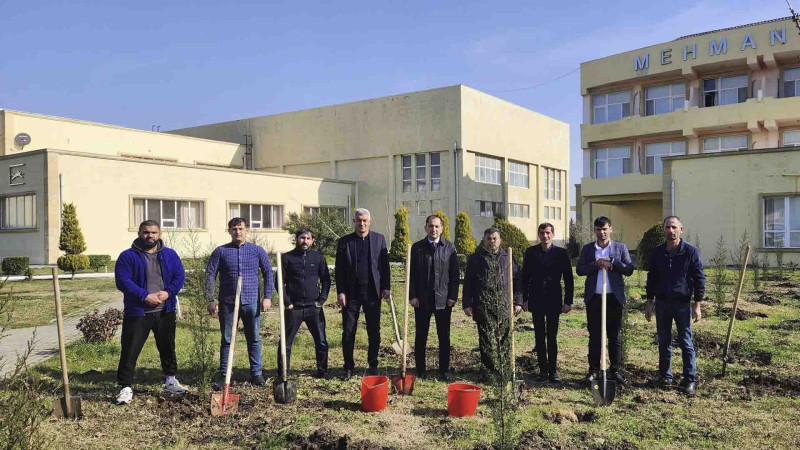 Cəlilabadda ağacəkmə aksiyası keçirilib