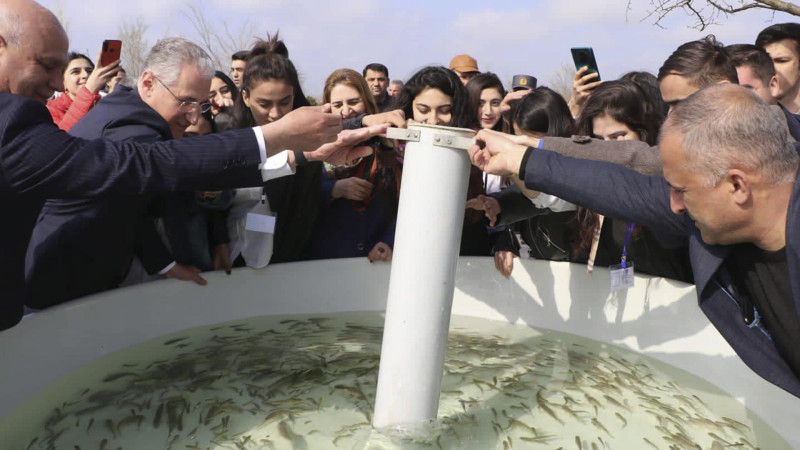 Kiçik Qızılağac körfəzinə balıq körpələri buraxılıb