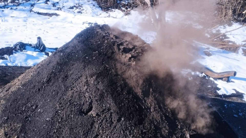 Masallıda qanunsuz ağac kömürü istehsal edilən kömür quyuları aşkarlanıb