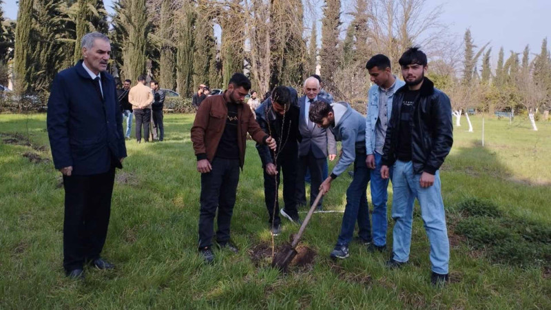 Cəlilabadda ağacəkmə aksiyası keçirilib