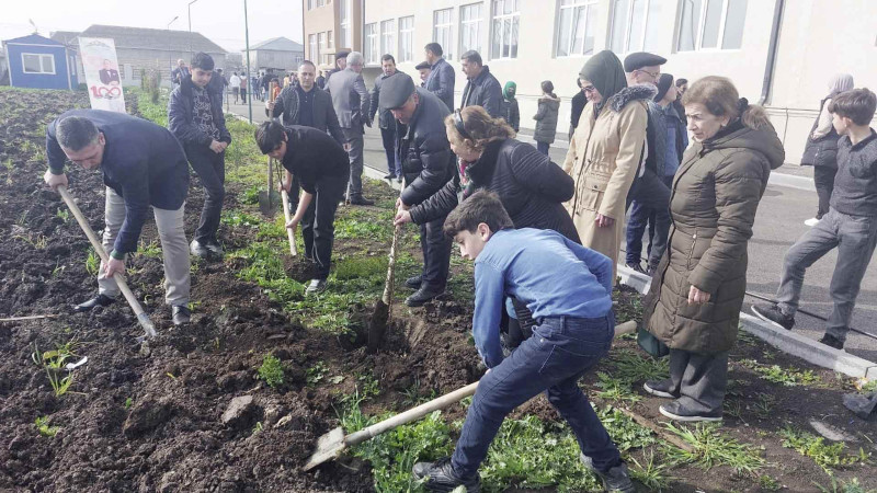 Cəlilabadda ağacəkmə aksiyasına start verilib