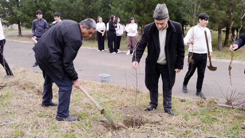 Lənkəranda şagirdlər ağacəkmə aksiyasında iştirak ediblər