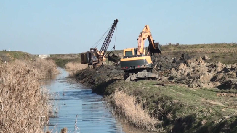 Cəlilabad rayonunda suvarma işləri uğurla davam edir