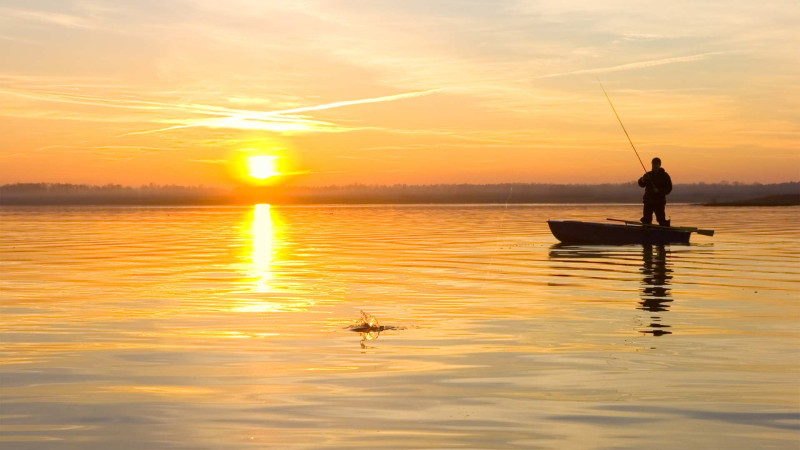 Masallı sakini Qızılağac Milli Parkı ərazisində qanunsuz ov edib