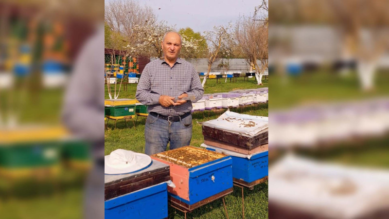 Lənkəranda peşəkar arıçı ilə görüş keçiriləcək