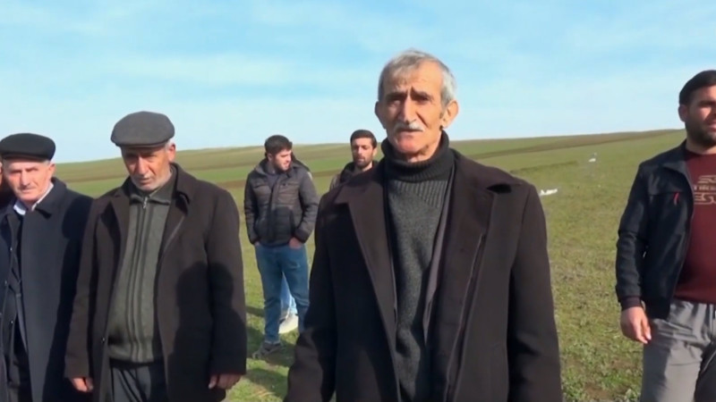 Cəlilabadlı fermerlər 3 ildir ki, subsidiya ala bilmirlər