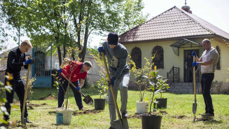 Lənkəranda “Xatirə bağı” adlı aksiya keçirilib