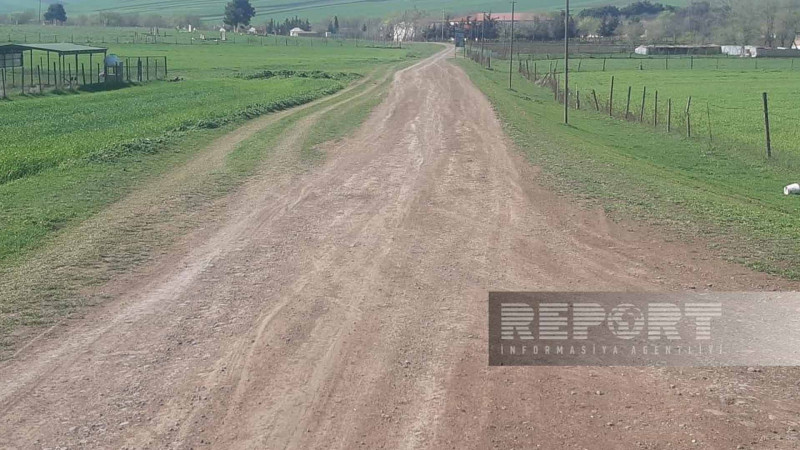 Cəlilabadın Qarakazımlı kəndinin yolları keçilməzdir