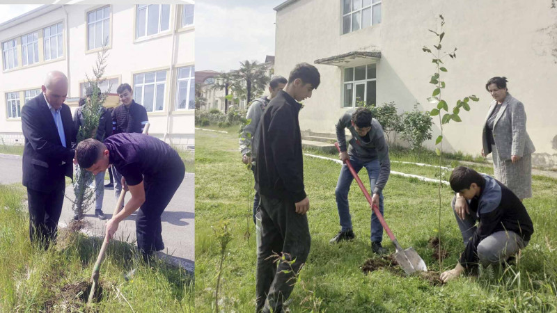 “Yaşıl məktəb” layihəsi əsasında Astarada ağacəkmə aksiyası keçirilib
