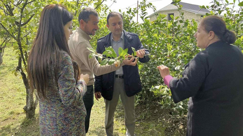 Təlim mərkəzi sitrus bağında təlim keçib
